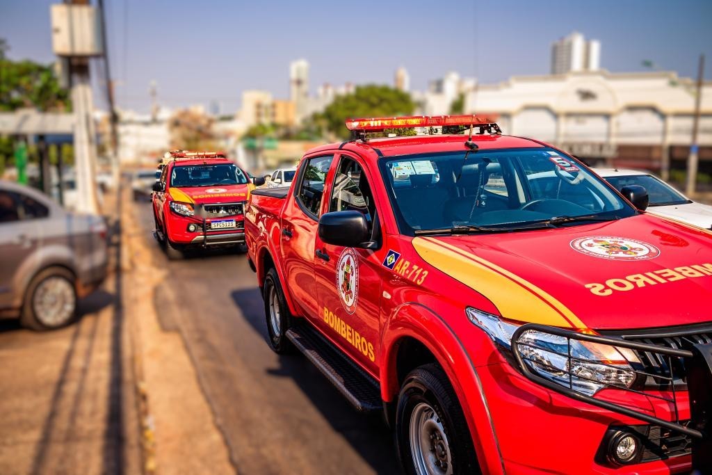 Corpo de Bombeiros contém cães da raça pitbull soltos em rua