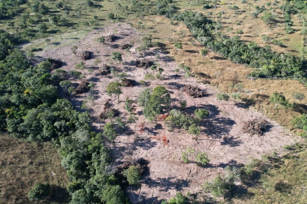 Batalhão Ambiental da PM embarga área após denúncia de desmatamento irregular