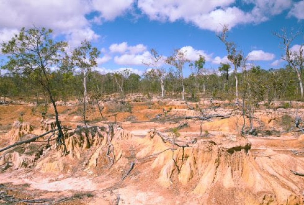 Estado vai restaurar mais de 10 mil hectares degradados no Xingu