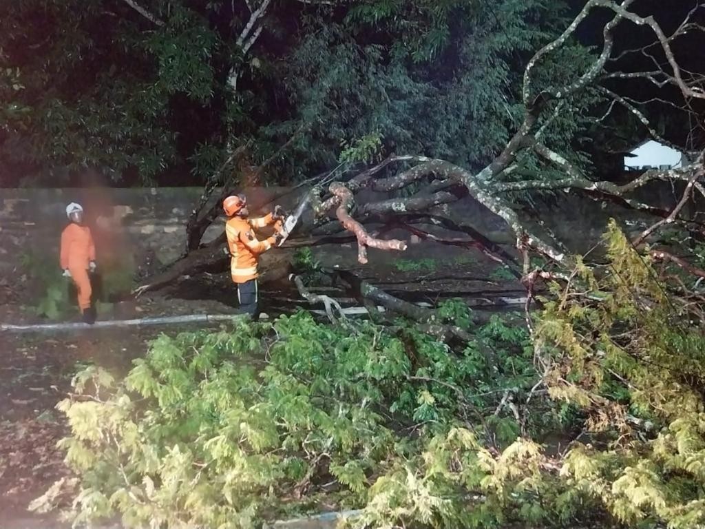 Corpo de Bombeiros realiza isolamento e desobstrução de vias após queda de poste energizado e árvore