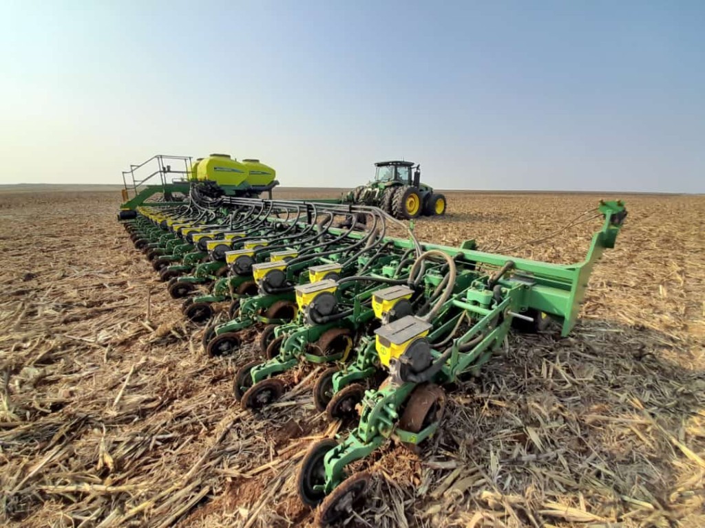 Soja ganha força, mas irregularidade das chuvas preocupa produtores