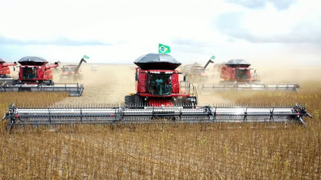 Soja responde por 84% das exportações e consolida força do agronegócio
