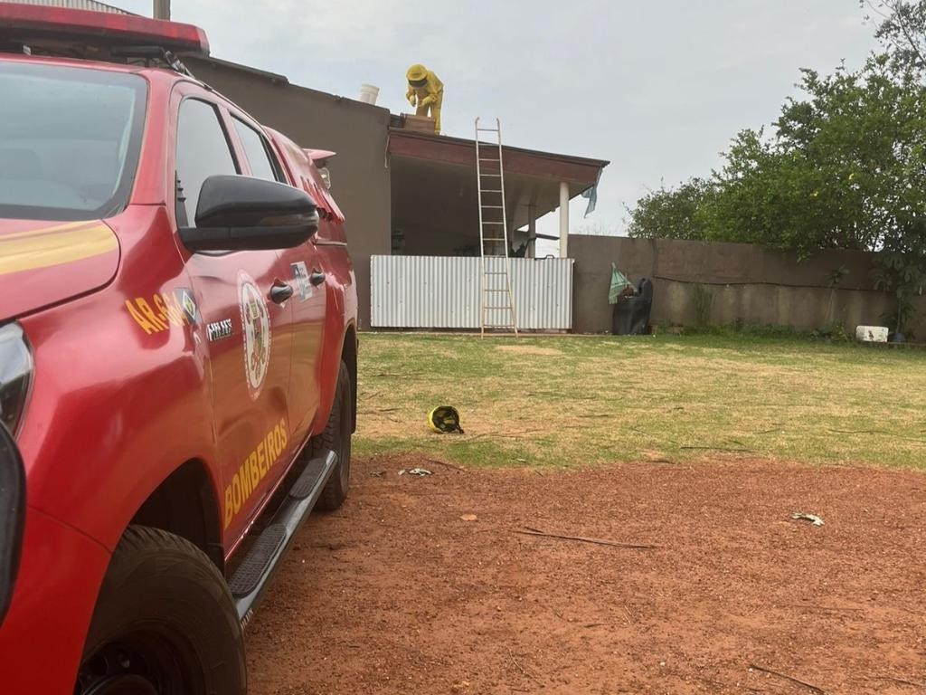 Corpo de Bombeiros é acionado para atender ocorrência de enxame de abelhas em residência