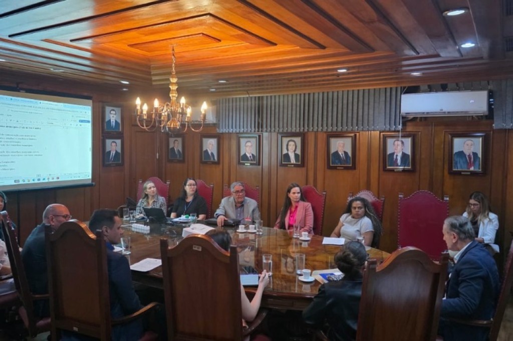 Rede Estadual de Direitos da Pessoa Idosa define planejamento para 2026