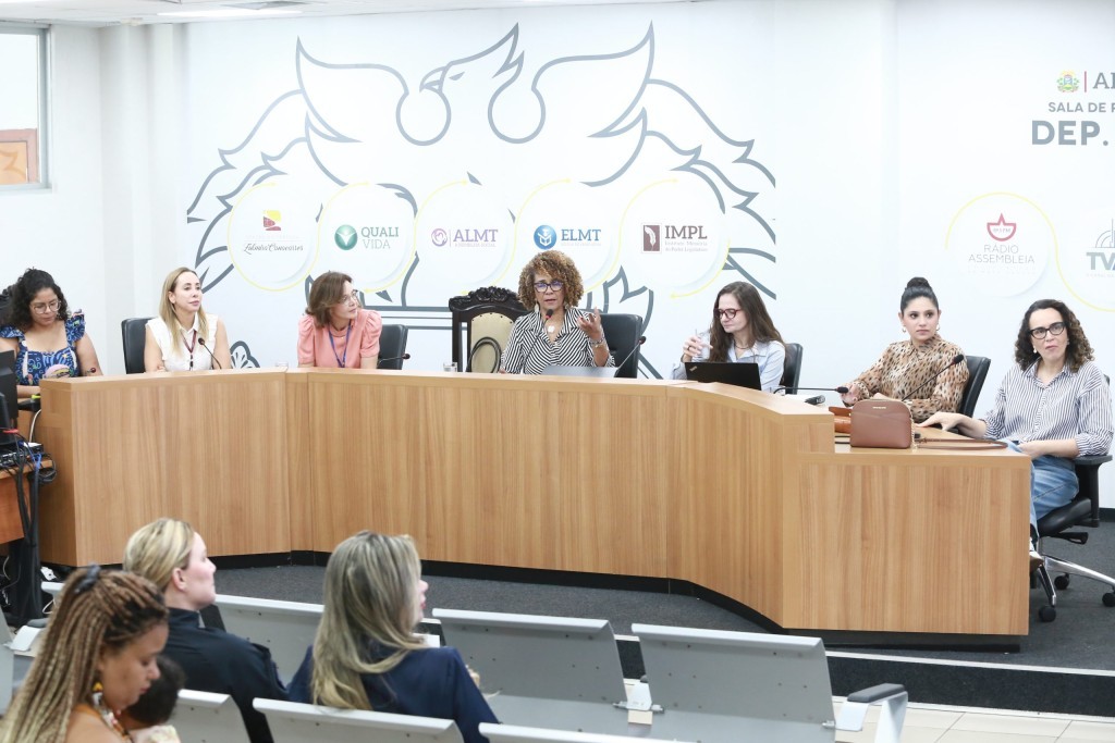 CST do Enfrentamento ao Feminicídio fará visitas a diferentes municípios para avaliar políticas públicas