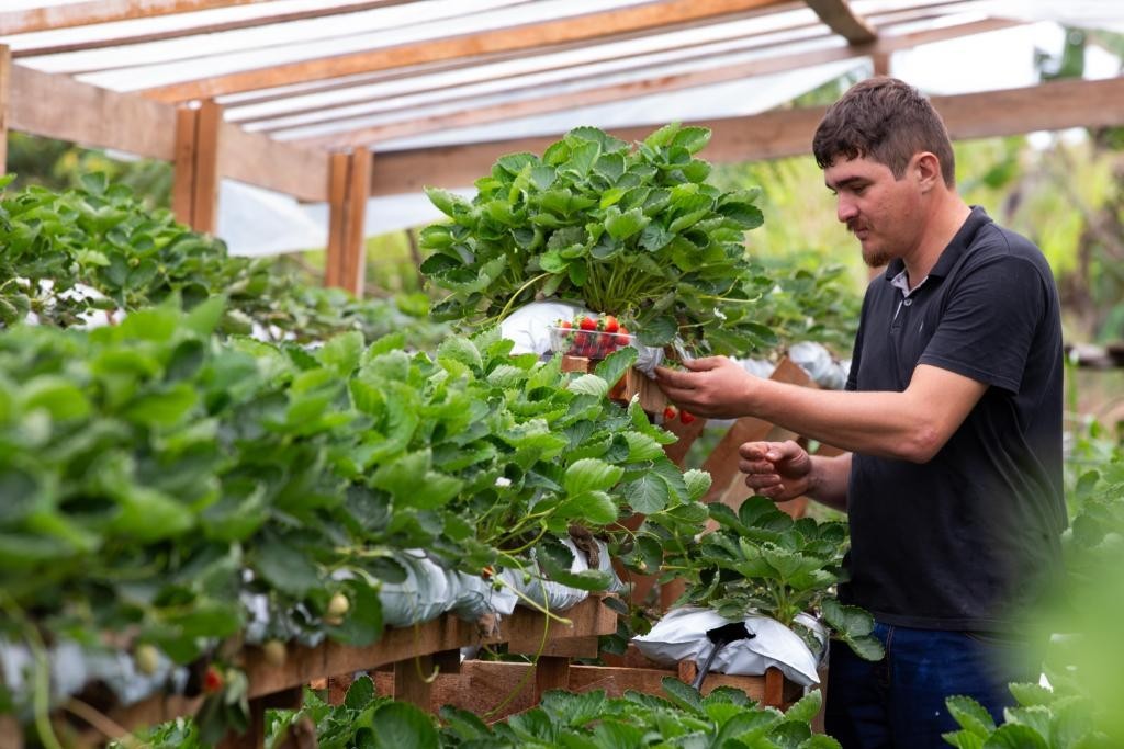 Últimos dias para cooperativas e associações se inscreverem no projeto MT Produtivo