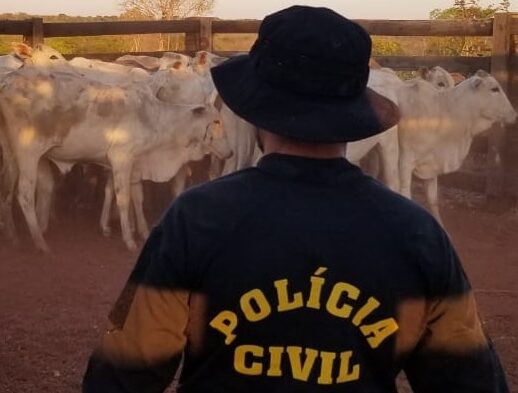 Polícia Civil de Nova Xavantina recupera gado furtado e desbaratina quadrilha
