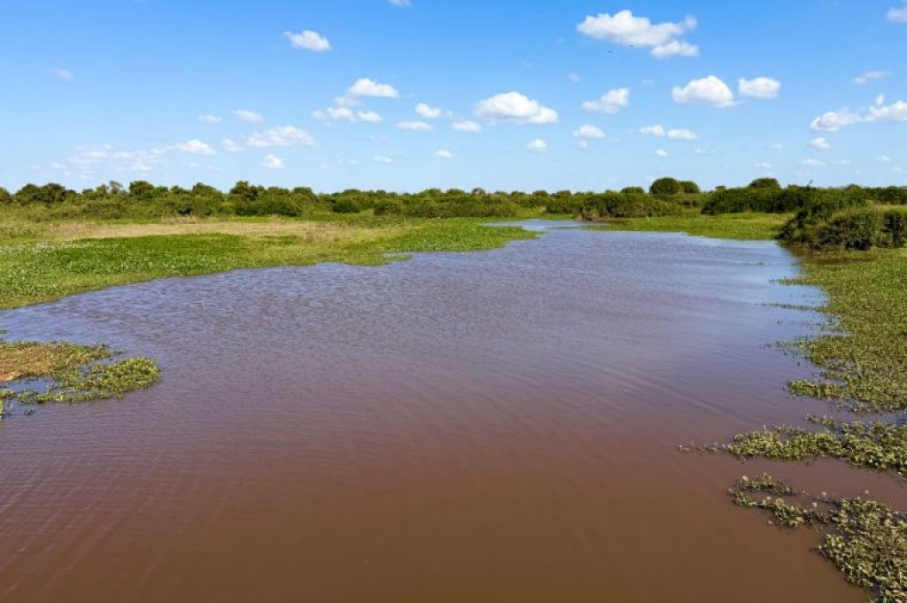 MPMT cobra estudos sobre influência da UHE Manso na seca do Pantanal