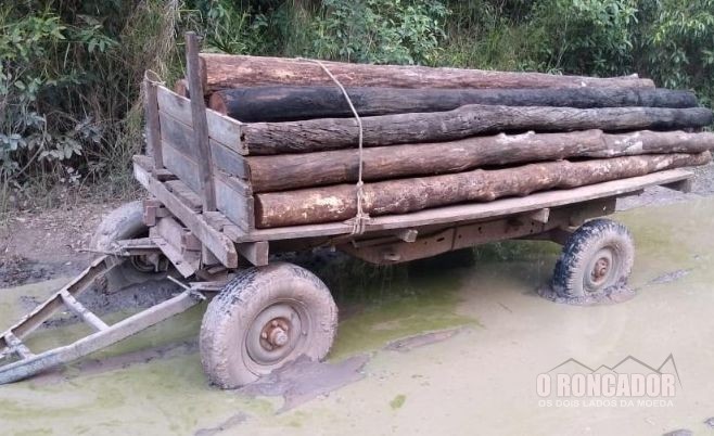 PM apreende carga de madeira, trator e reboque em Luciara-MT