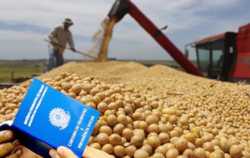 Fim da escala 6×1 acende alerta no agro para alta de custos e impacto nos alimentos