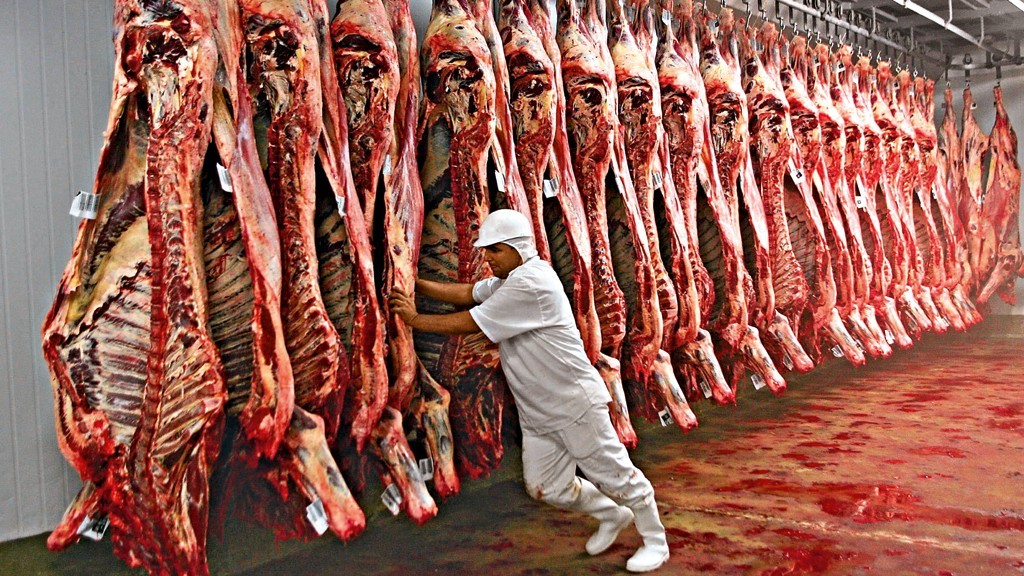 Brasil deve produzir 33,38 milhões de toneladas de carnes em 2026