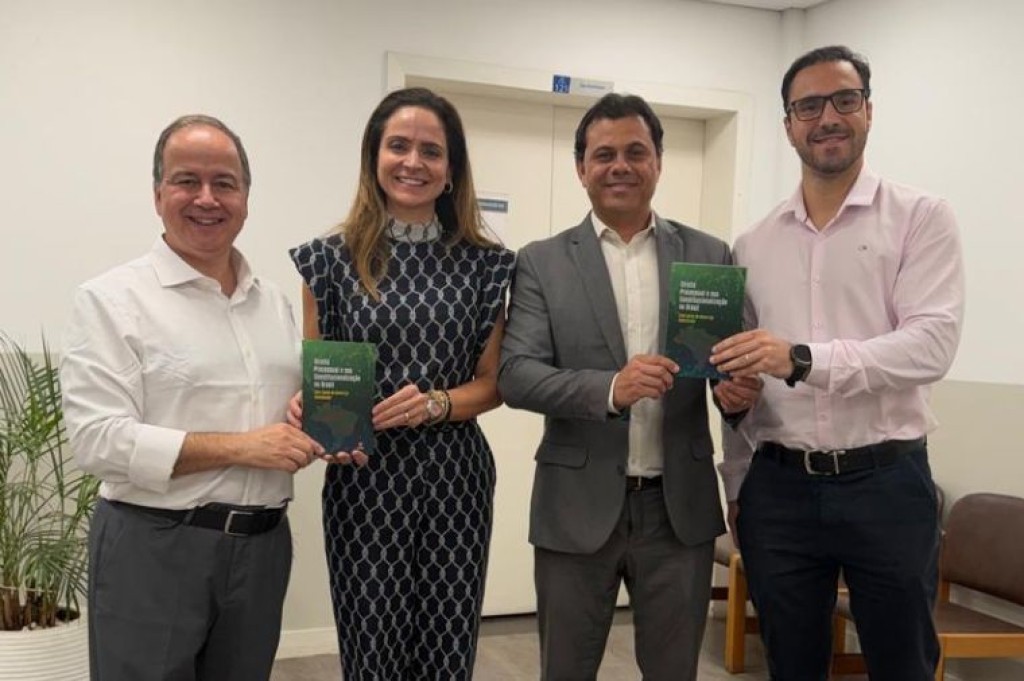 Promotora do MPMT integra obra sobre Direito Processual e Constituição