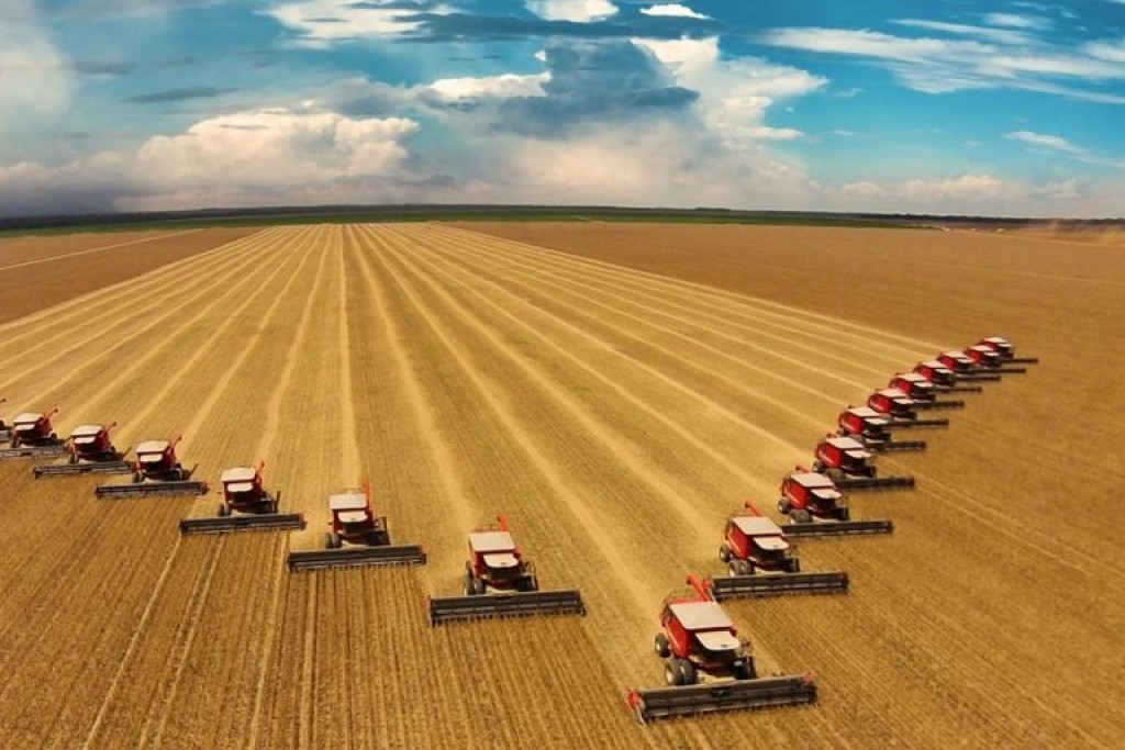 Agronegócio respondeu por 45,7% das exportações brasileiras em junho