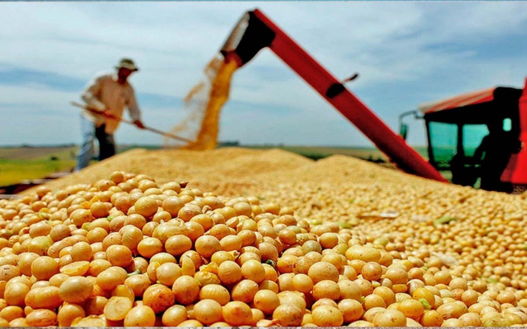 Safra pode chegar a 184 milhões de toneladas e recorde pelo terceiro ano