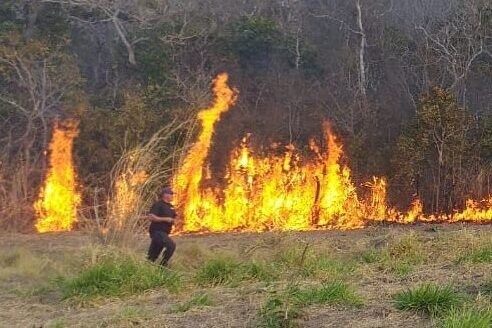 Bombeiros de Nova Xavantina combatem incêndio em vegetação próximo a BR 158