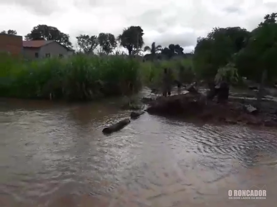 Morador de Nova Xavantina posta vídeo nas redes sociais sobre abandono nas ruas da periferia
