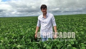 Colheita da soja em Nova Xavantina chega a 15% (10 mil ha)