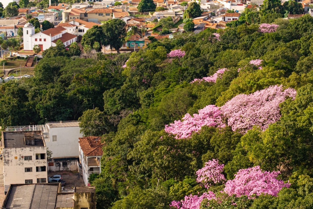 Cuiabá é habilitada pela Sema para ampliar atuação no licenciamento ambiental