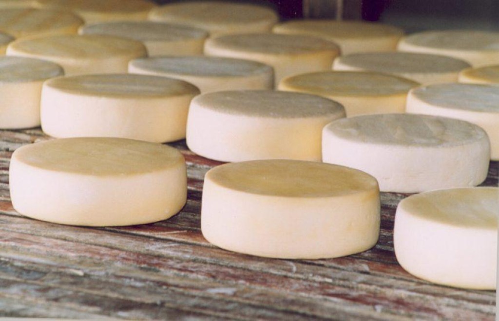 Festival do Queijo destaca força da produção artesanal de Mato Grosso