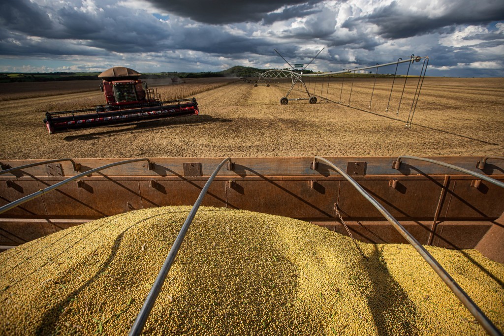 Agro lidera retomada em 2026 e sustenta reação da economia gaúcha
