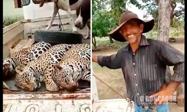Caçador que matou 3 onças no Araguaia se apresenta e permanece calado