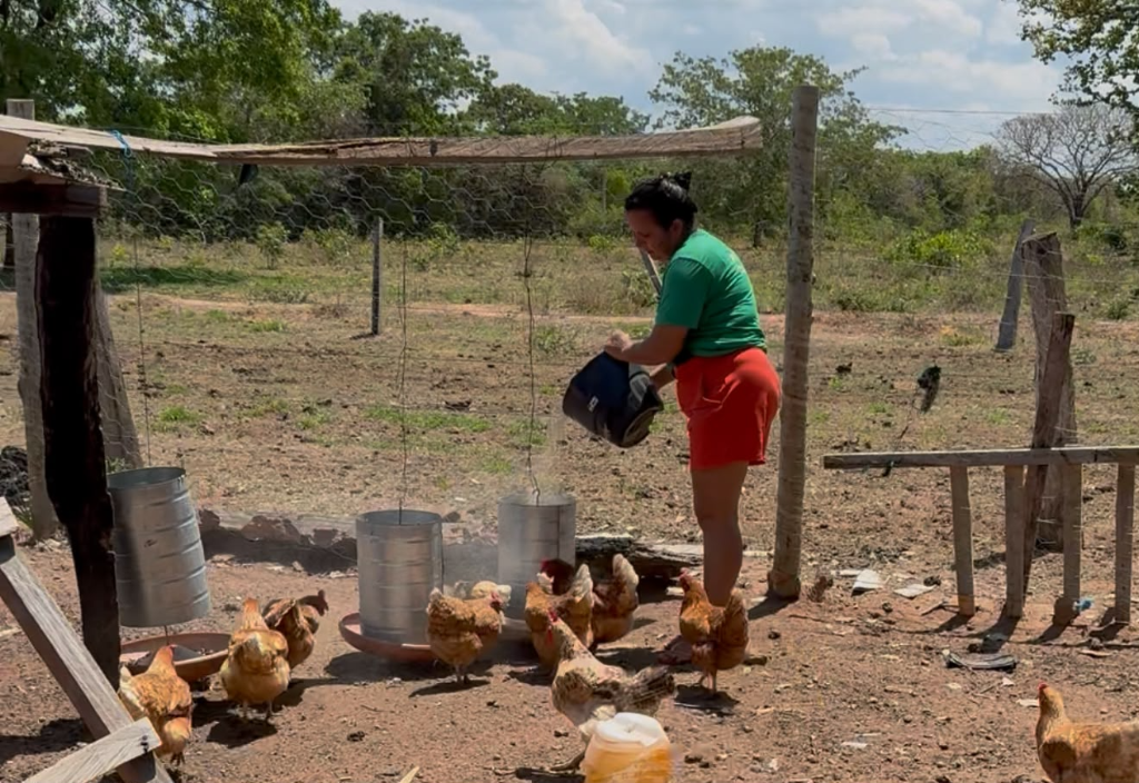 Investimento de R$ 1 bilhão impulsiona a agricultura familiar em Mato Grosso