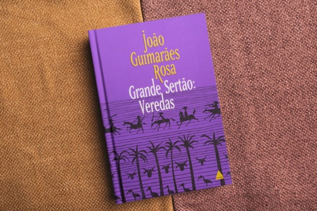 A raiva e o seu desgoverno