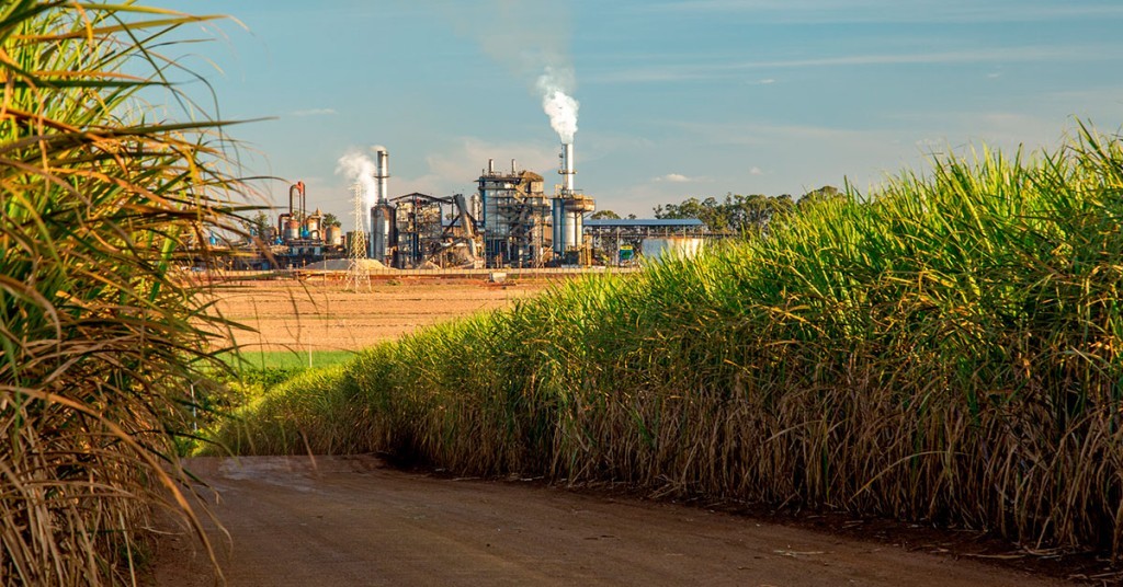Safra chega a 705 milhões de toneladas com avanço do etanol e recuo do açúcar