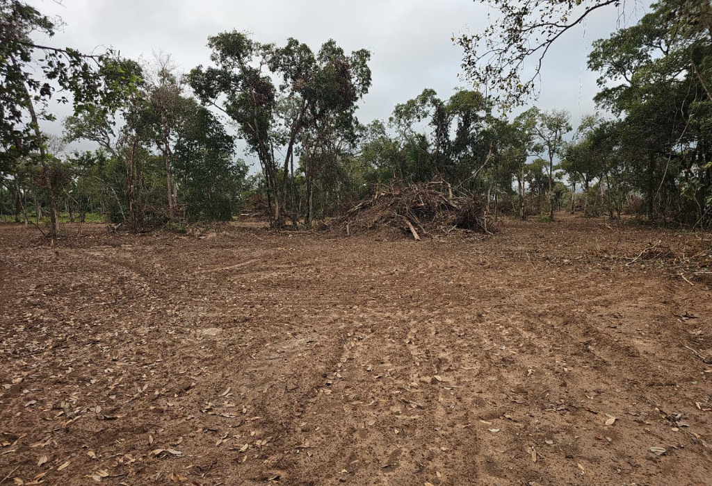 Batalhão Ambiental aplica multa em mais de R$ 129 mil por desmatamento irregular