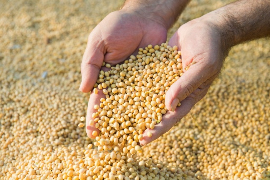 Gaeco-MT atua em operação contra esquema milionário no agronegócio