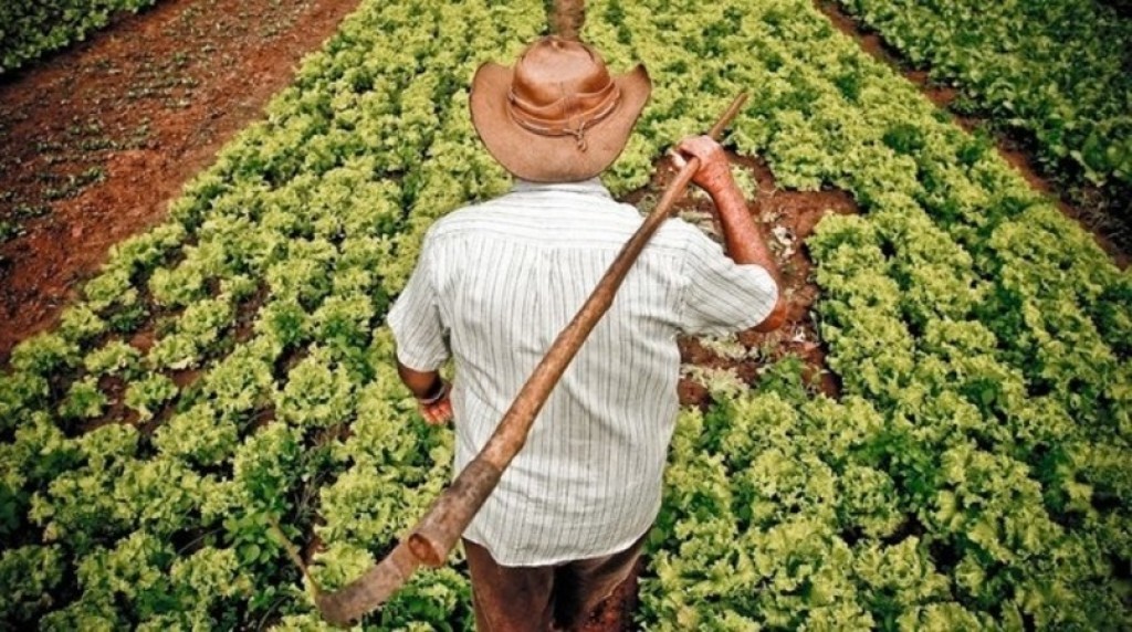 Agro entra no centro da reforma trabalhista rural em discussão no Senado